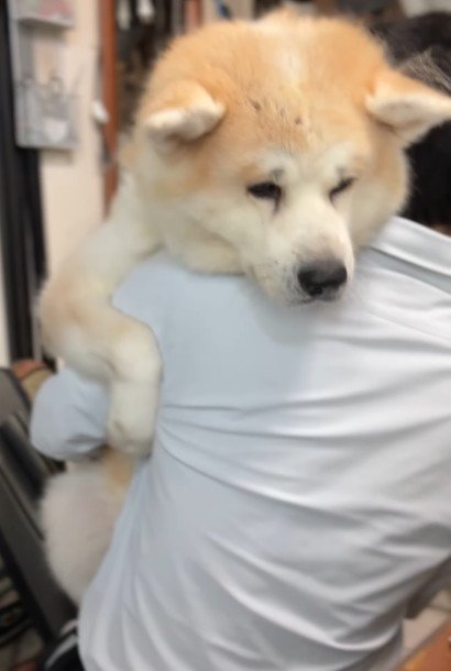 大きくても心は赤ちゃん！