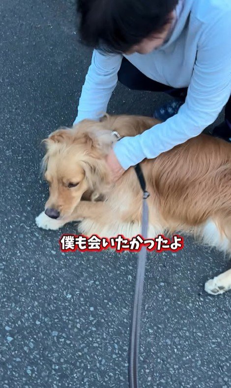 ピノくんとご夫婦の再会5