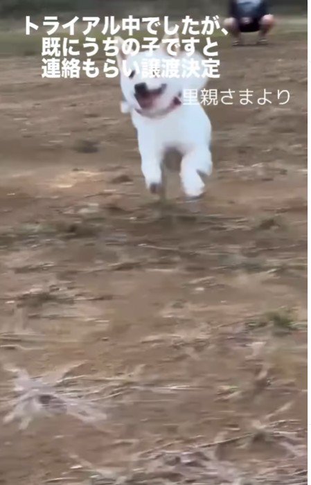 はじける笑顔に涙…