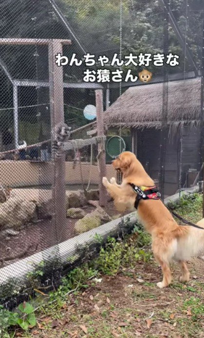 動物園を満喫♡