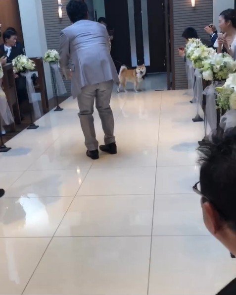 リングドッグに挑戦する豆助座衛門くん8