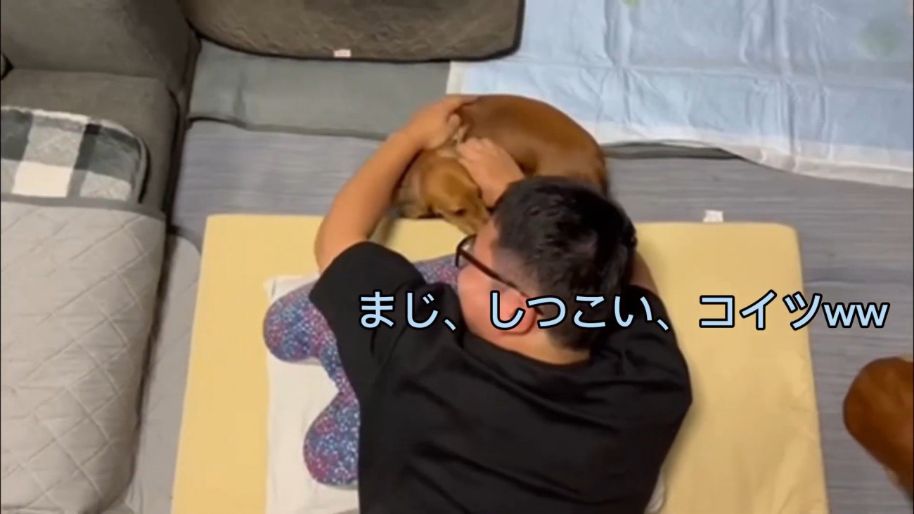 容赦ない構って攻撃！