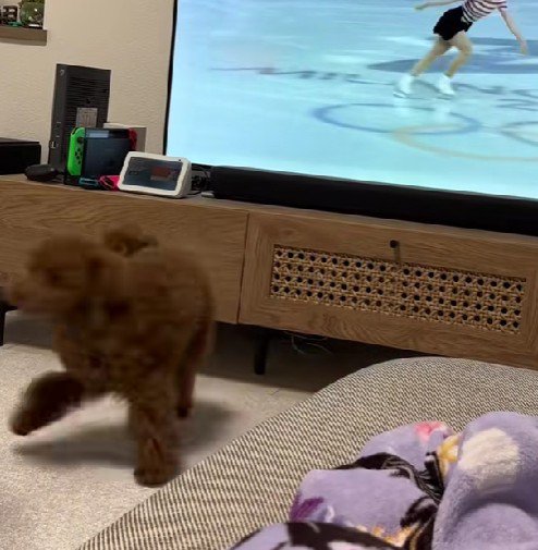 金メダル取れそう…！！