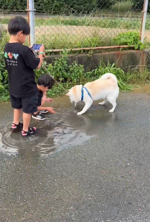 水たまりで遊ぶスズちゃんたち5