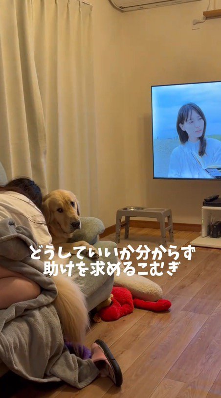 犬と一緒にドラマを見ている女性