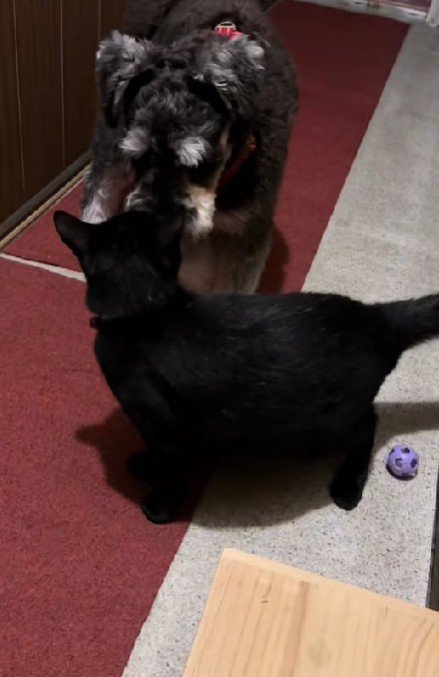 みんな仲良しが一番だね