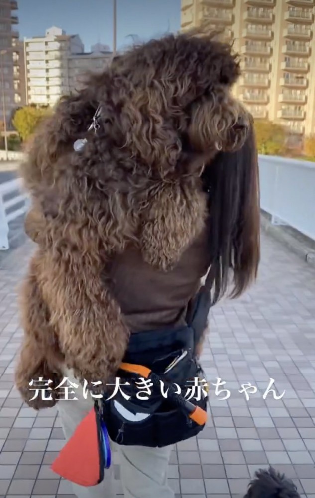 景色まできっちり満喫