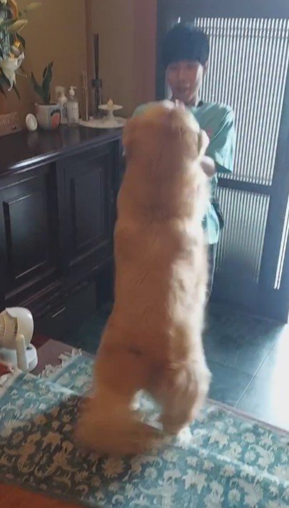 ピョンピョン跳ねて喜ぶテンちゃん