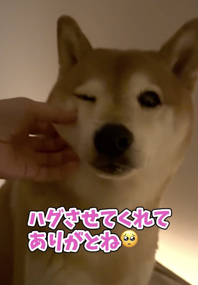 とっても癒された飼い主さん