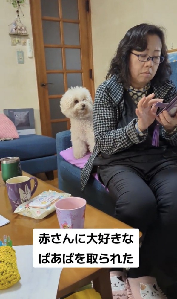 ソファーに座る人の後ろにいる犬