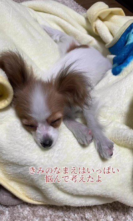 名前もたくさん考えた