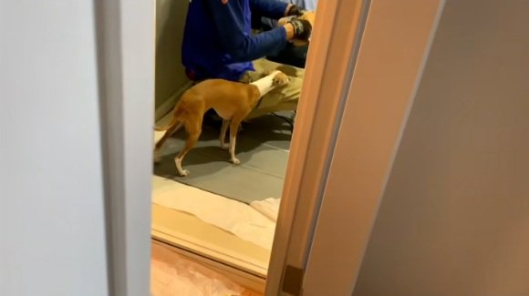 興味津々なことちゃん