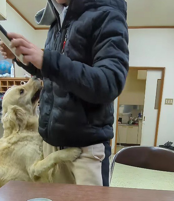 「採用！！採用！！」