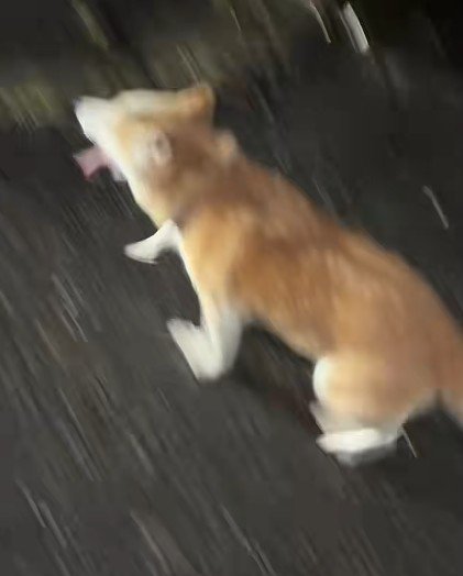 なかなか止まらない…