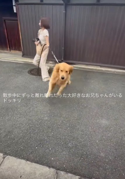 れおんちゃんが見つけたのは…