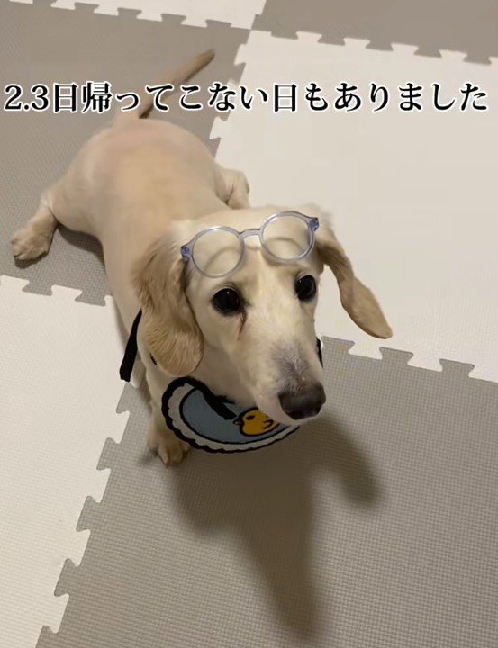 どんどん留守番が増えていった