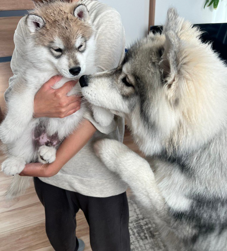 出会った頃の様子