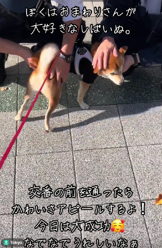 優しい対応にホッコリ