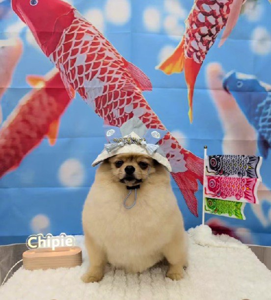 渋い表情で仁王立ち