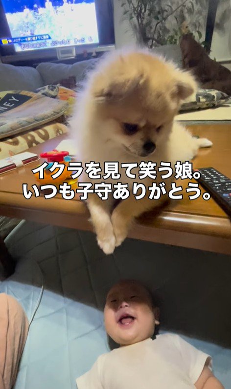 イクラちゃんと赤ちゃん2