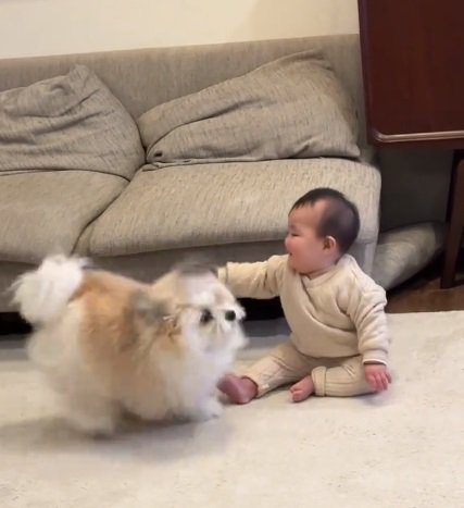 走り出す小太郎くん