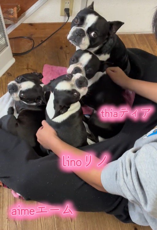 仲良しで可愛い♡