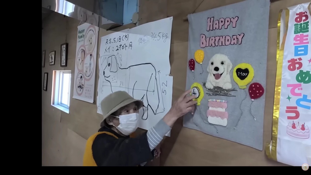 5歳の誕生日を迎えた