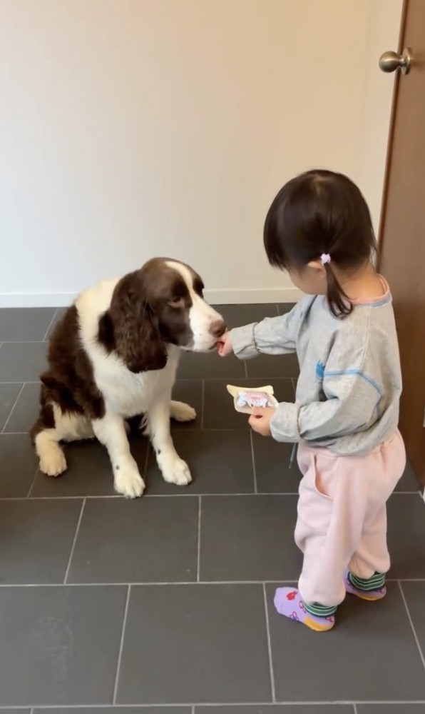 オヤツ、どうぞ