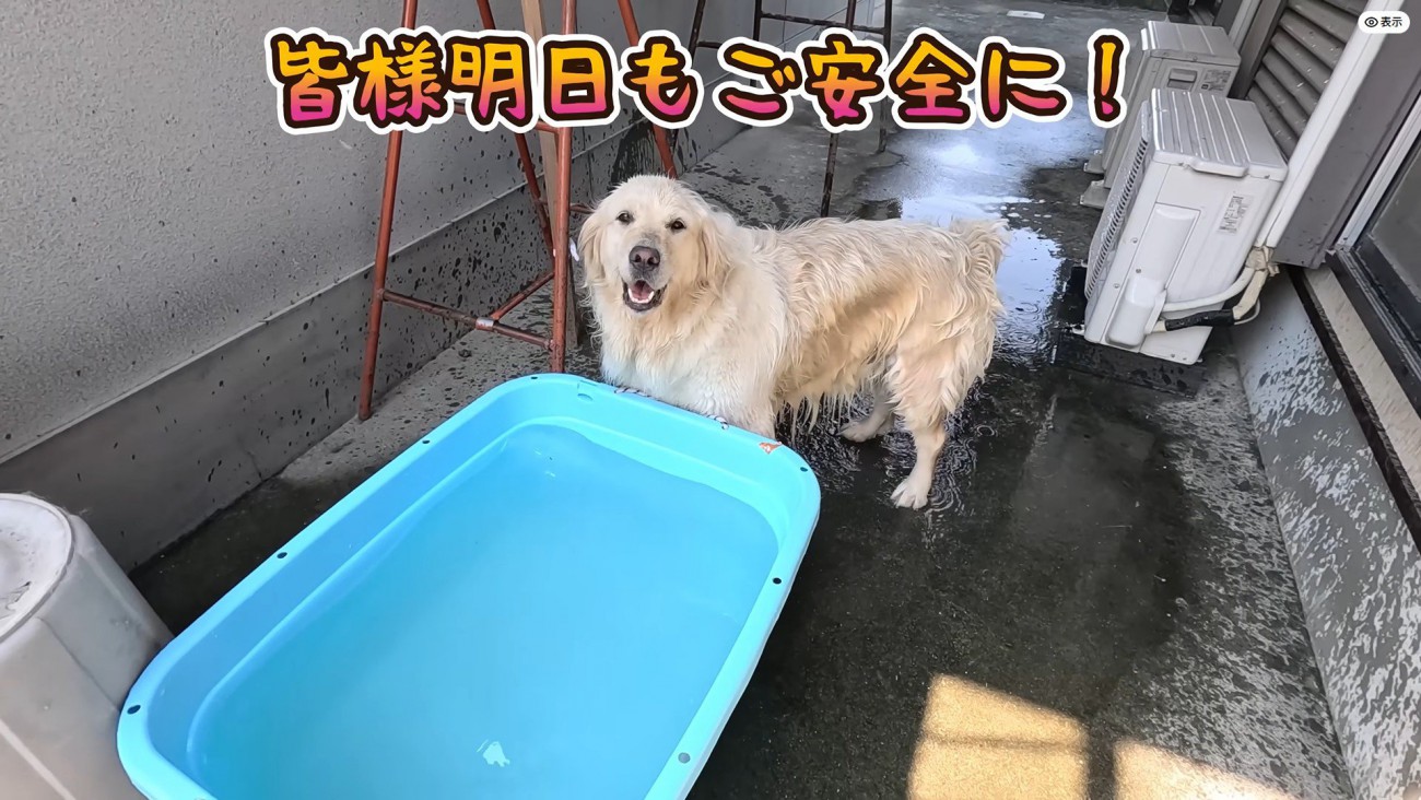 涼しくなって大満足♪