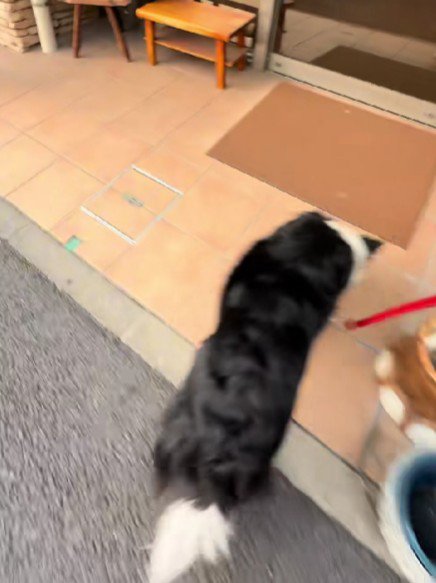 ウキウキとした足取りで…