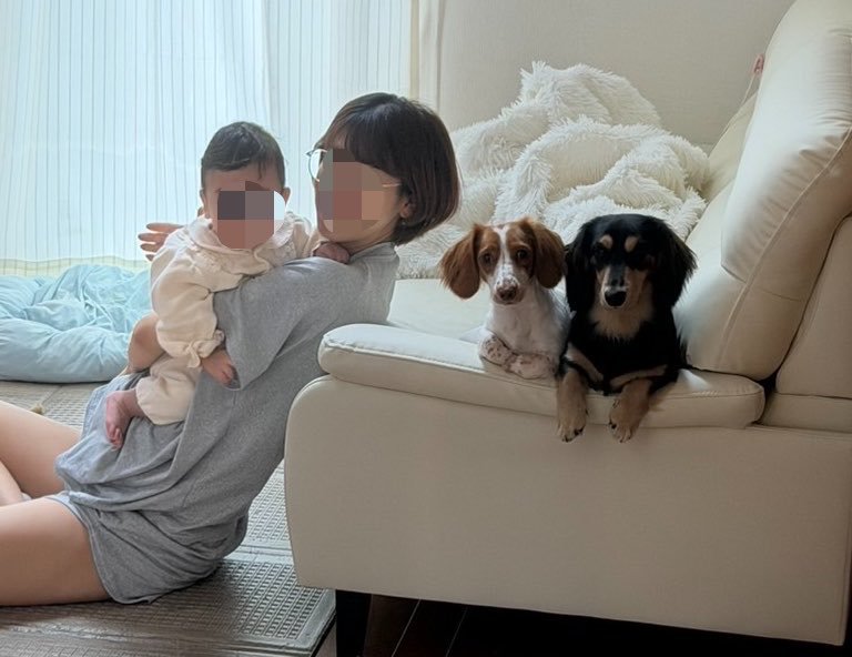 愛犬