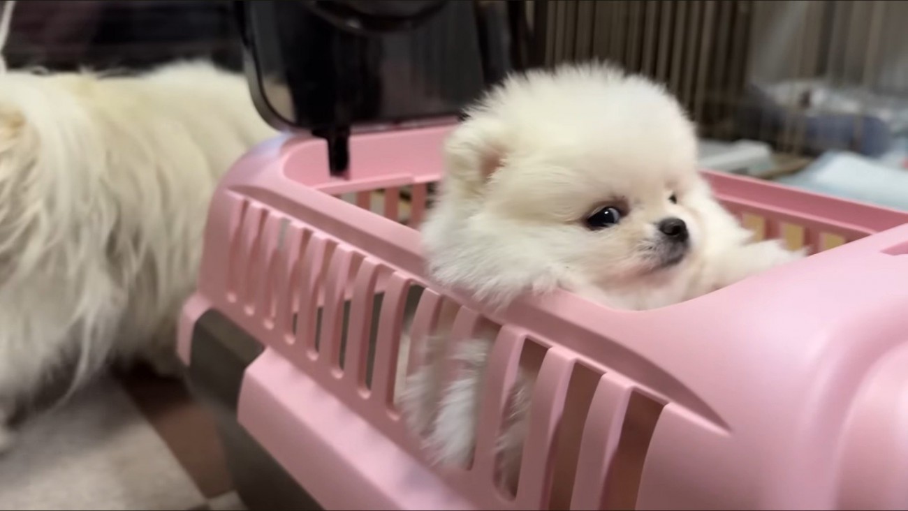 「みんな優しそう…」