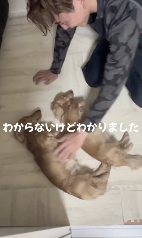 やり過ごしたい…