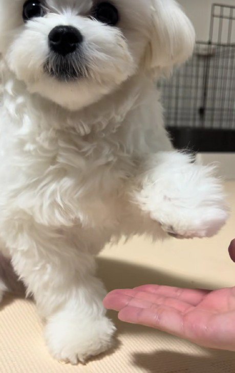 「これで充分でしょ？」