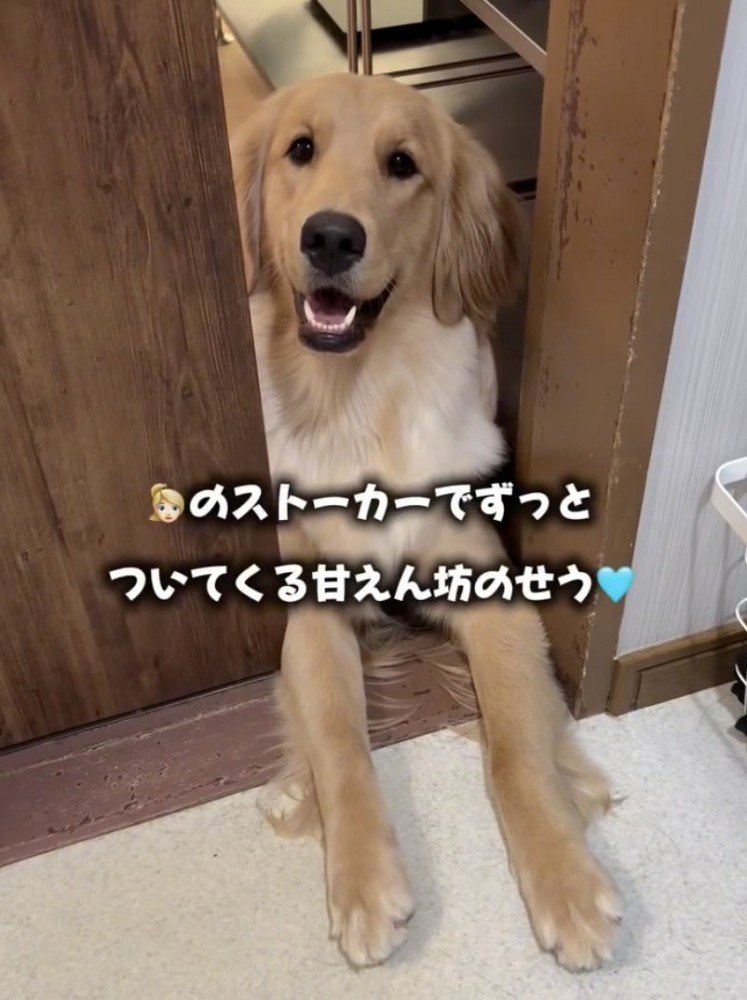 家族のことも大好き