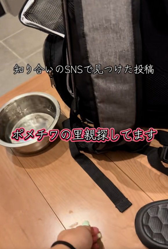 SNSの投稿を見た投稿主さん