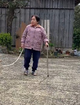 おばあちゃんがお散歩へ