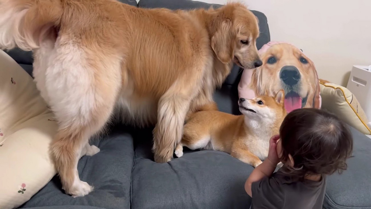 教育的指導をすることに