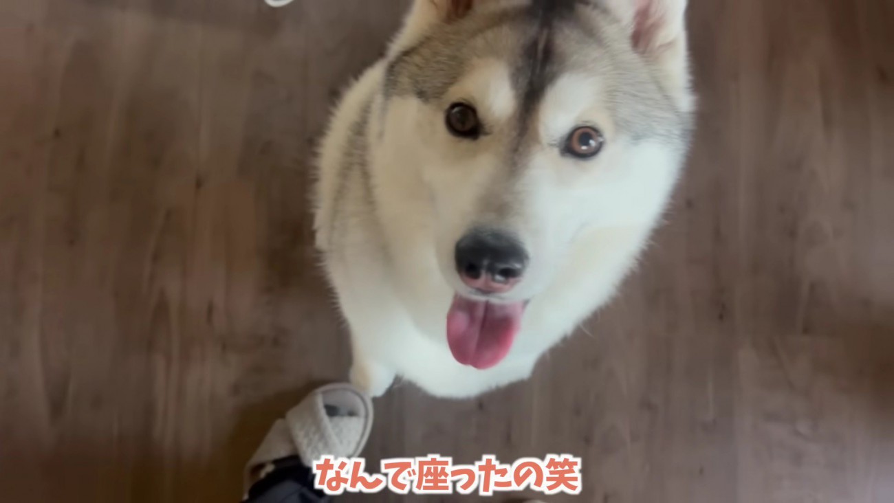 「赤ちゃんを連れていかないで…」