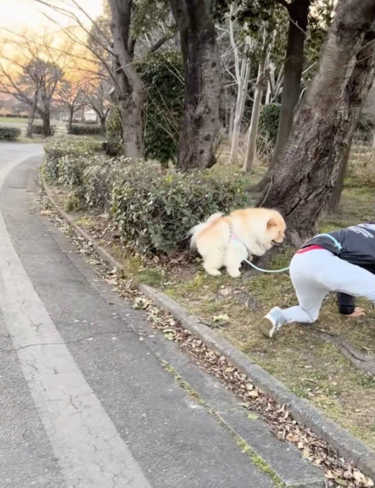 まるのちゃん、お取り込み中