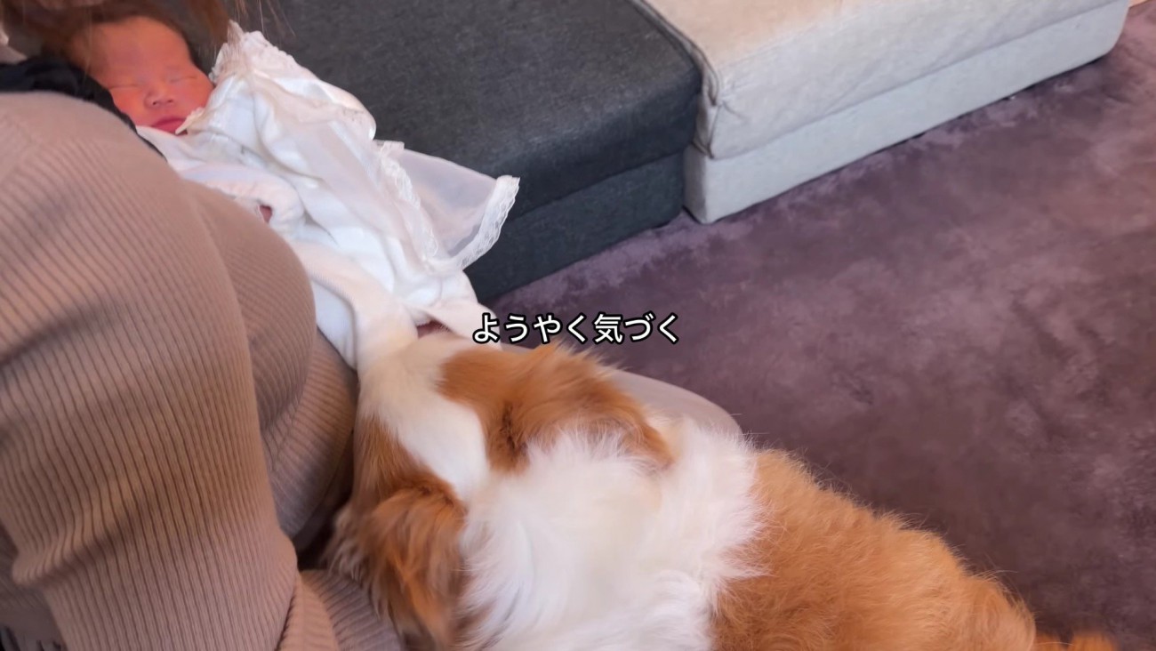 クンクンとニオイを確認