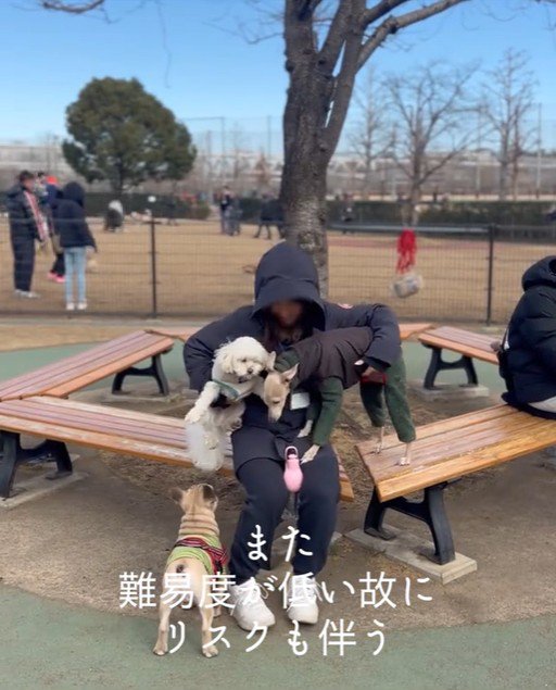 スキップ君の割り込みの手口8