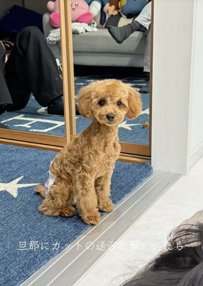 ちゃんとオスワリ