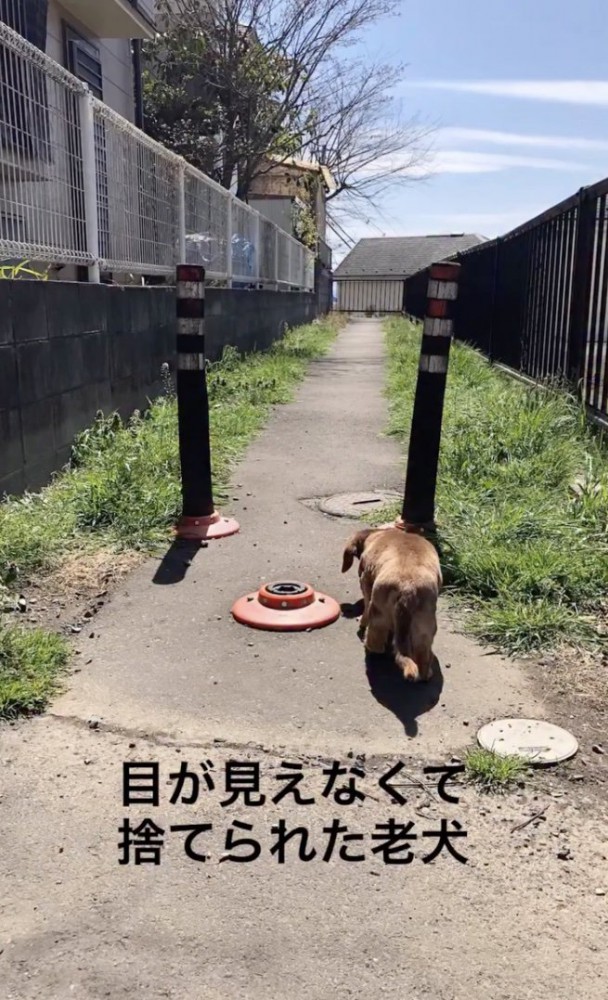 ジョンくんの辛すぎる過去