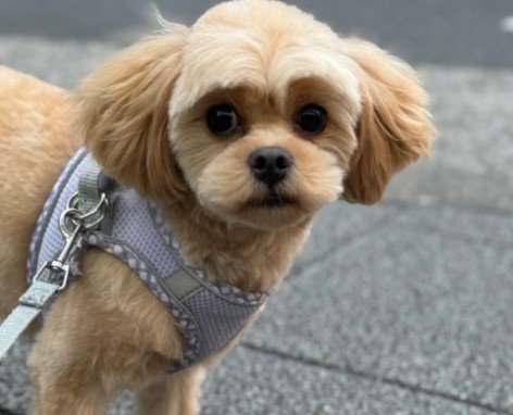 次回は期待通りになりますように！！