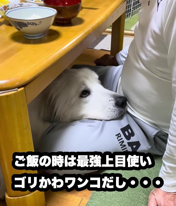 食事中も監視！
