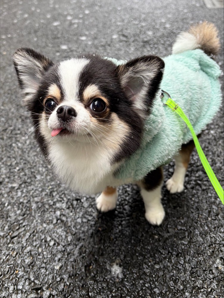 あざとい