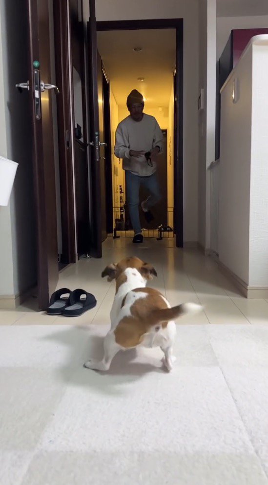 姿勢を低くして男性を廊下で待ち構える犬