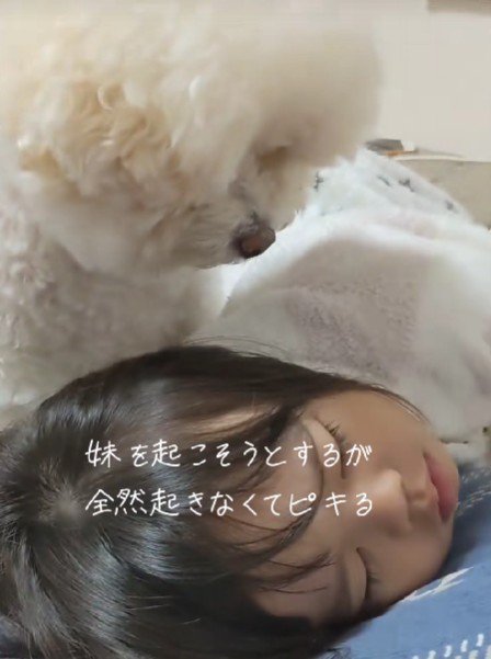 「そろそろ起きようよ」