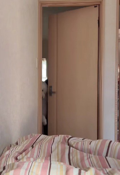 犯人は、なんと…